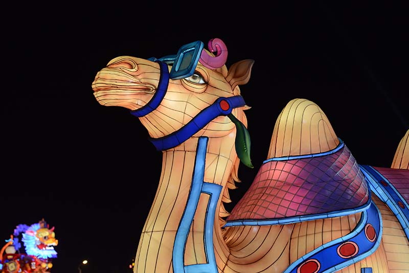 Stylized camel lantern with sunglasses for commercial event