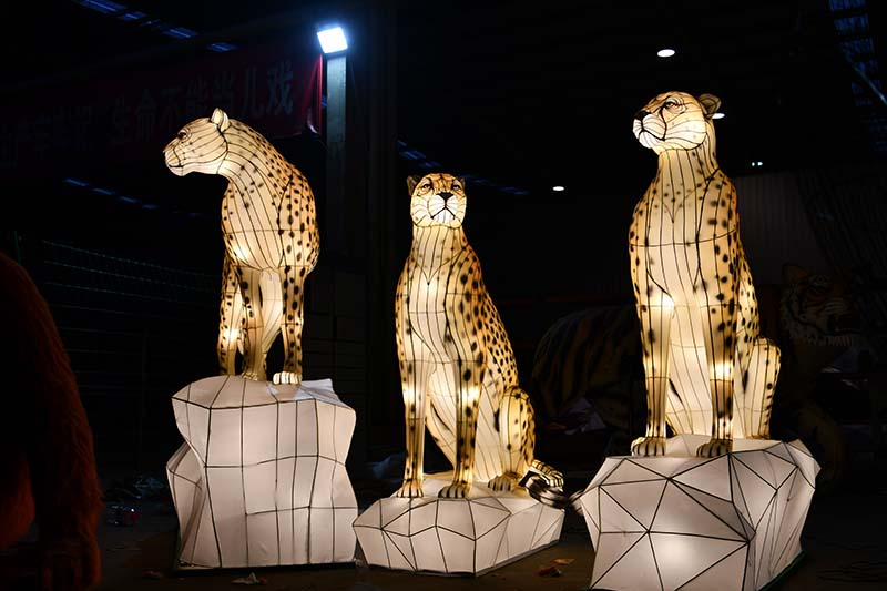 Three life-size cheetah lanterns for safari wildlife exhibit