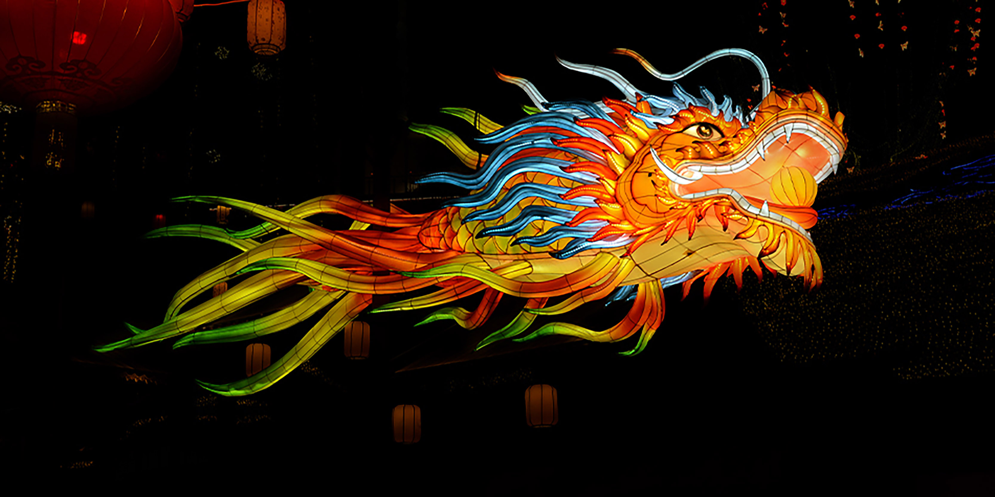 Traditional dragon-fish lantern representing auspicious Chinese cultural symbolism