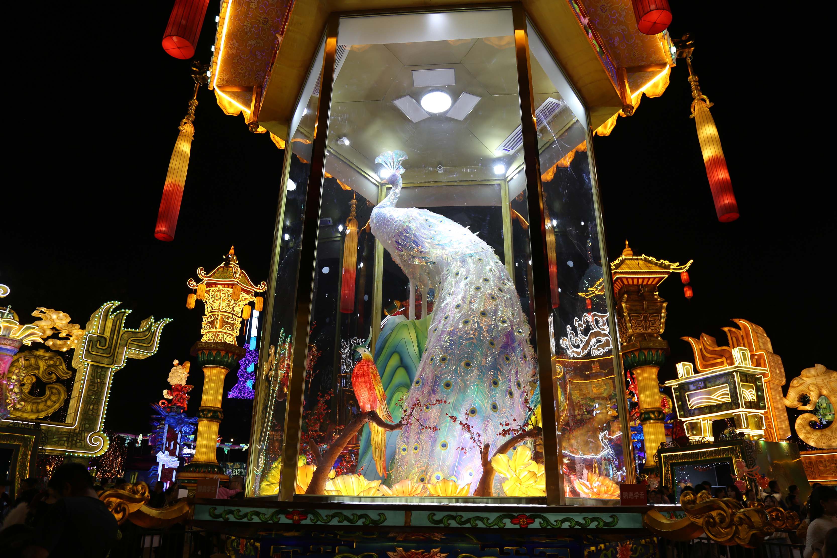 Elegant white peacock lantern in traditional Chinese palace display