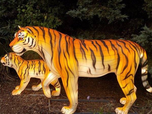 Illuminated animal lanterns at city festival
