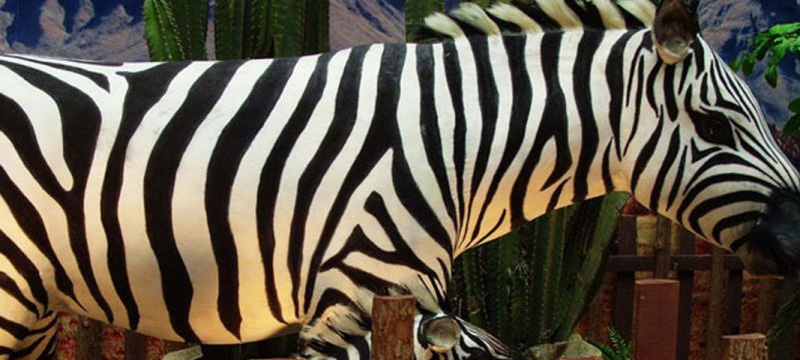 Animatronic Animals