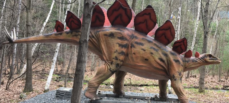 Animatronic Dinosaurs