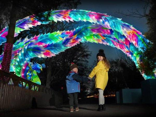 Festival lantern display at city plaza