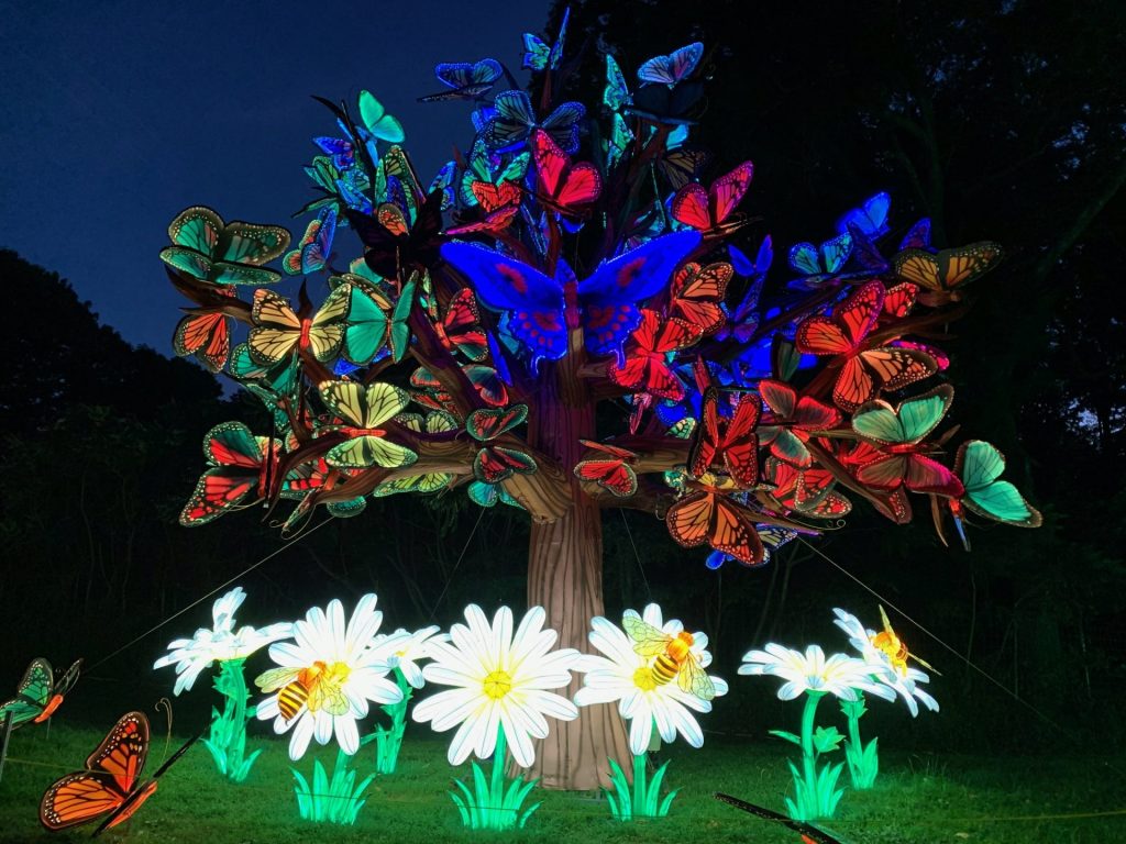 Boston Franklin Park Zoo Lantern Festival | Chinese Silk Light Exhibition USA