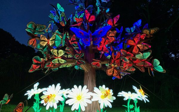 Boston Franklin Park Zoo Lantern Festival | Chinese Silk Light Exhibition USA
