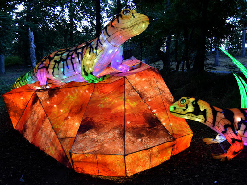 Camouflaged Lizard Lantern Display