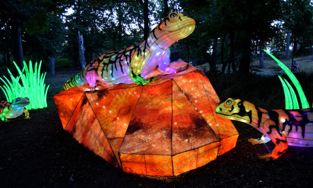 Colorful illuminated lizard lanterns basking on giant orange gem at Boston lantern festival. Lizards display vibrant striped patterns in green, purple, orange and yellow. Glowing green plants surround the scene, creating mystical forest atmosphere