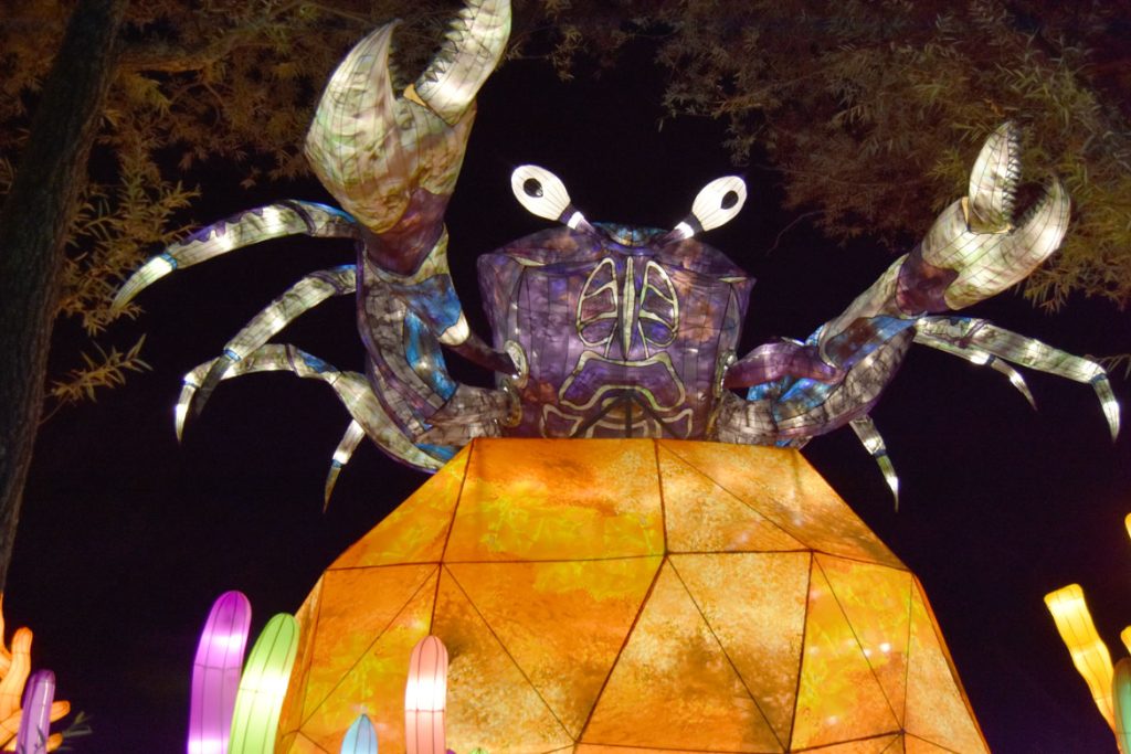 Whimsical giant crab lantern with expressive eyes and iridescent claws at Boston zoo festival. Purple body with silver-blue detailed pincers perched on glowing orange gem. Colorful illuminated sea plants in foreground create playful underwater scene