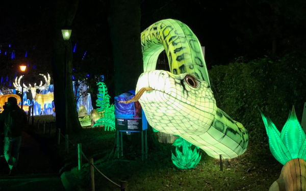 PROJECT CASE STUDY – WILDLIGHTS DUBLIN ZOO 2020