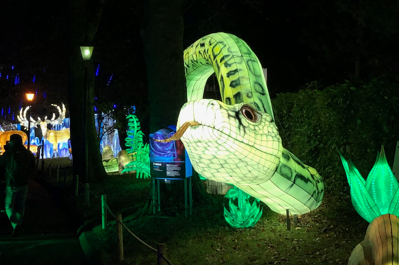 PROJECT CASE STUDY – WILDLIGHTS DUBLIN ZOO 2020