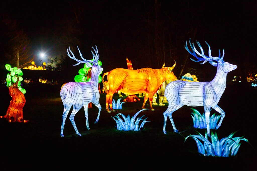 Enchanted forest lantern scene at Lightopia Manchester featuring illuminated deer with crystalline blue antlers and golden bison. Magical lighting creates otherworldly atmosphere. Fantasy wildlife lanterns showcase blend of Chinese craftsmanship and European folklore aesthetics.
