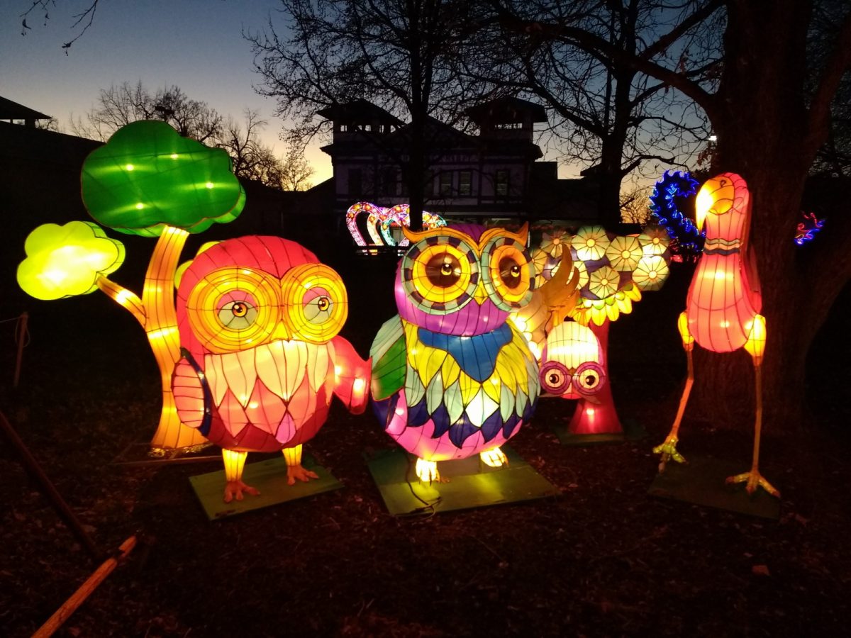 Owl family lantern group installed on a garden lawn at a botanical garden lantern festival