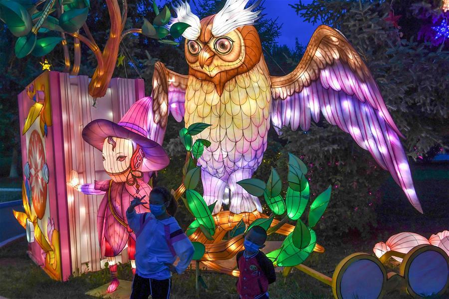 Giant illuminated owl lantern with purple-tipped wings and detailed feather patterns at Boston Franklin Park Zoo lantern festival. Storybook child wizard in pink hat and coat stands beside owl with magical book. Chinese silk lantern craftsmanship creates magical family atmosphere