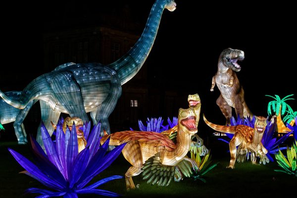 Bringing Prehistoric Giants to Light — The Art of Dinosaur Lanterns