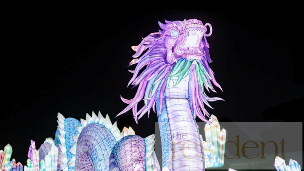 Magnificent purple Chinese dragon lantern sculpture at Lightopia Manchester. Reimagined traditional dragon in lavender, pink, and iridescent blue tones emerging from crystalline cave. 15-meter serpentine creature became festival's iconic centerpiece and social media sensation.