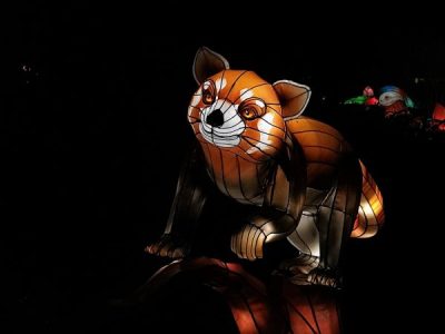 Red Panda Lantern Figure