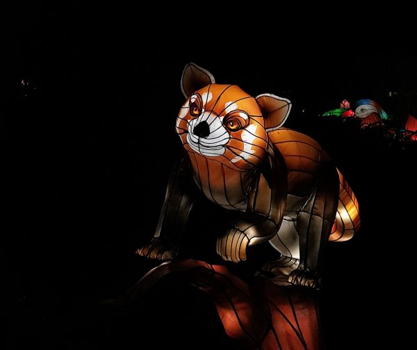 Red Panda Lantern Figure