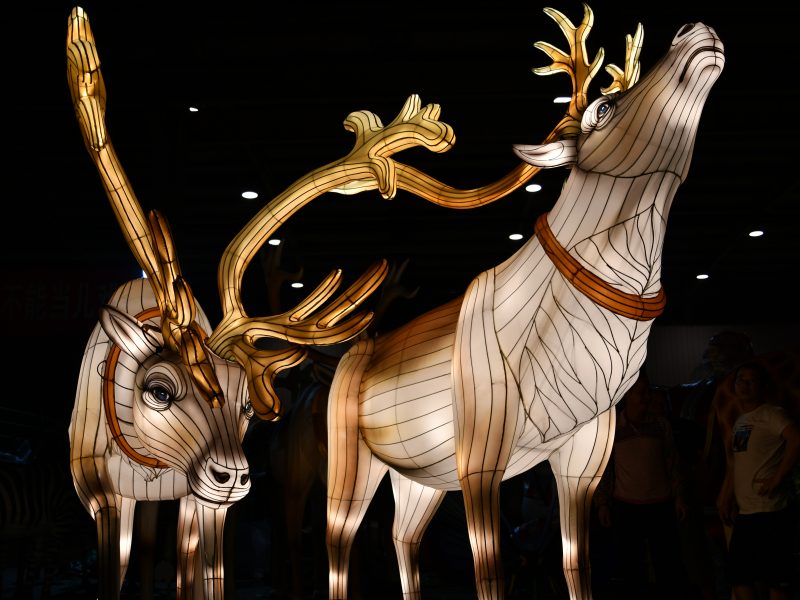 Reindeer Lanterns