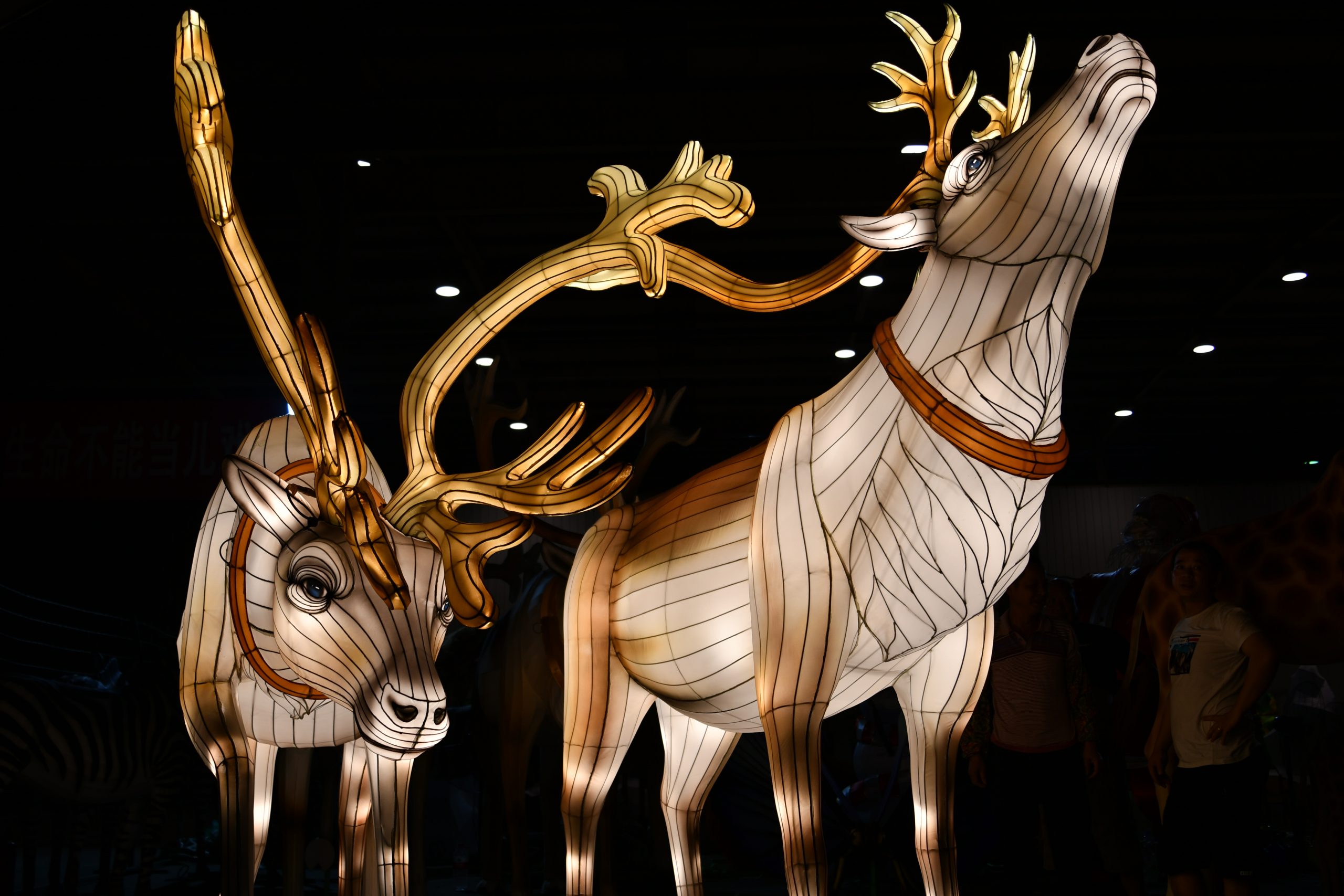 Christmas lighting show reindeer family — 5 reindeer illuminated lantern sculpture for winter Christmas park display