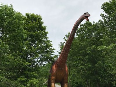 Animatronic Argentinosaurus — Lifesize Sauropod Dinosaur Exhibit