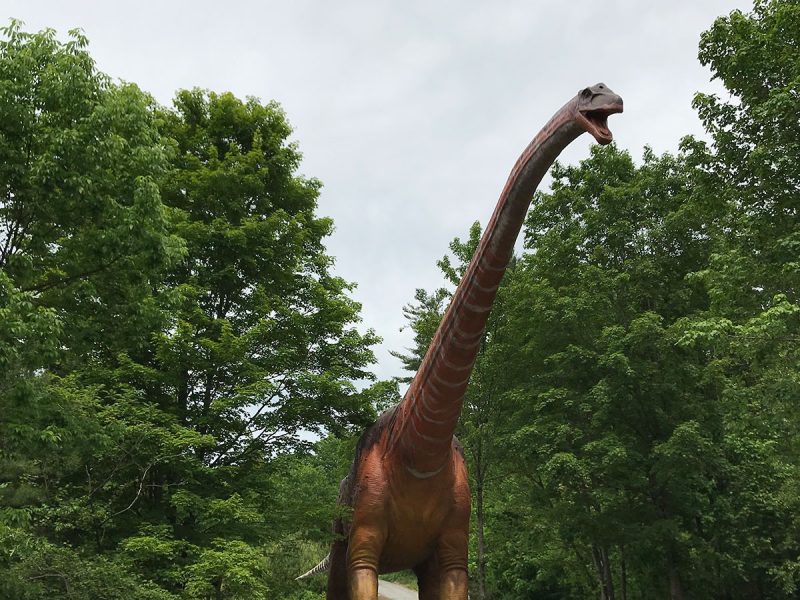 Animatronic Argentinosaurus — Lifesize Sauropod Dinosaur Exhibit