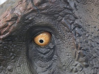 Interactive Animatronic Dinosaur Exhibit — Motion-Sensor Dinosaur with Sound & Touch Response