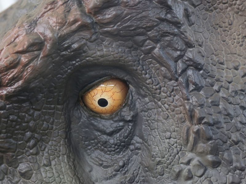 Interactive Animatronic Dinosaur Exhibit — Motion-Sensor Dinosaur with Sound & Touch Response