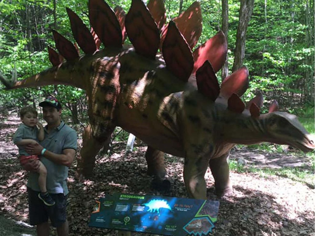 Animatronic Stegosaurus Dinosaur 01 — animatronic dinosaur display for theme parks and museums