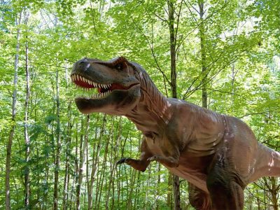 Realistic Animatronic Tyrannosaurus Rex Model — Outdoor Dinosaur Exhibit