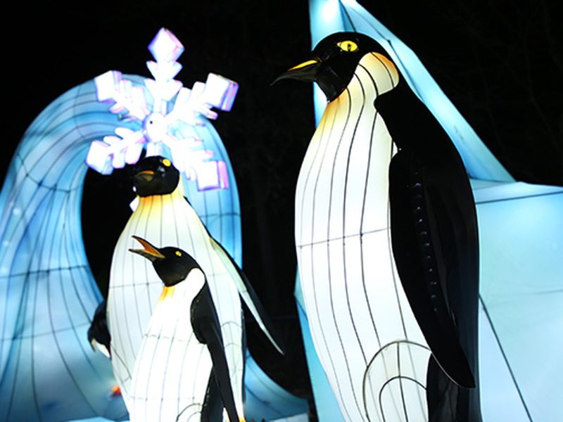 Penguin Colony Igloo Lantern