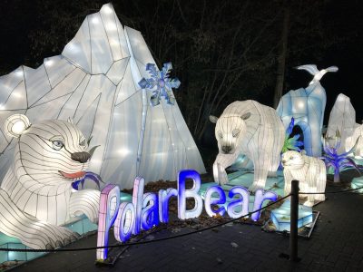 Polar Bear Iceberg Lantern