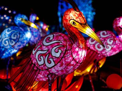 Colorful Crane Cloud Pattern Lantern