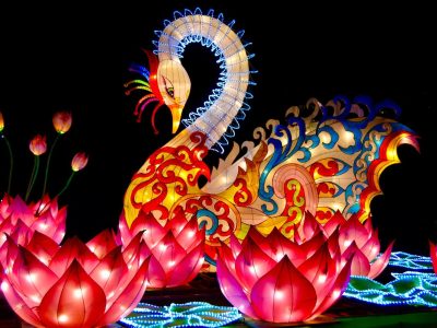Phoenix Lotus Bloom Lantern