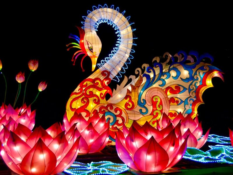 Phoenix Lotus Bloom Lantern