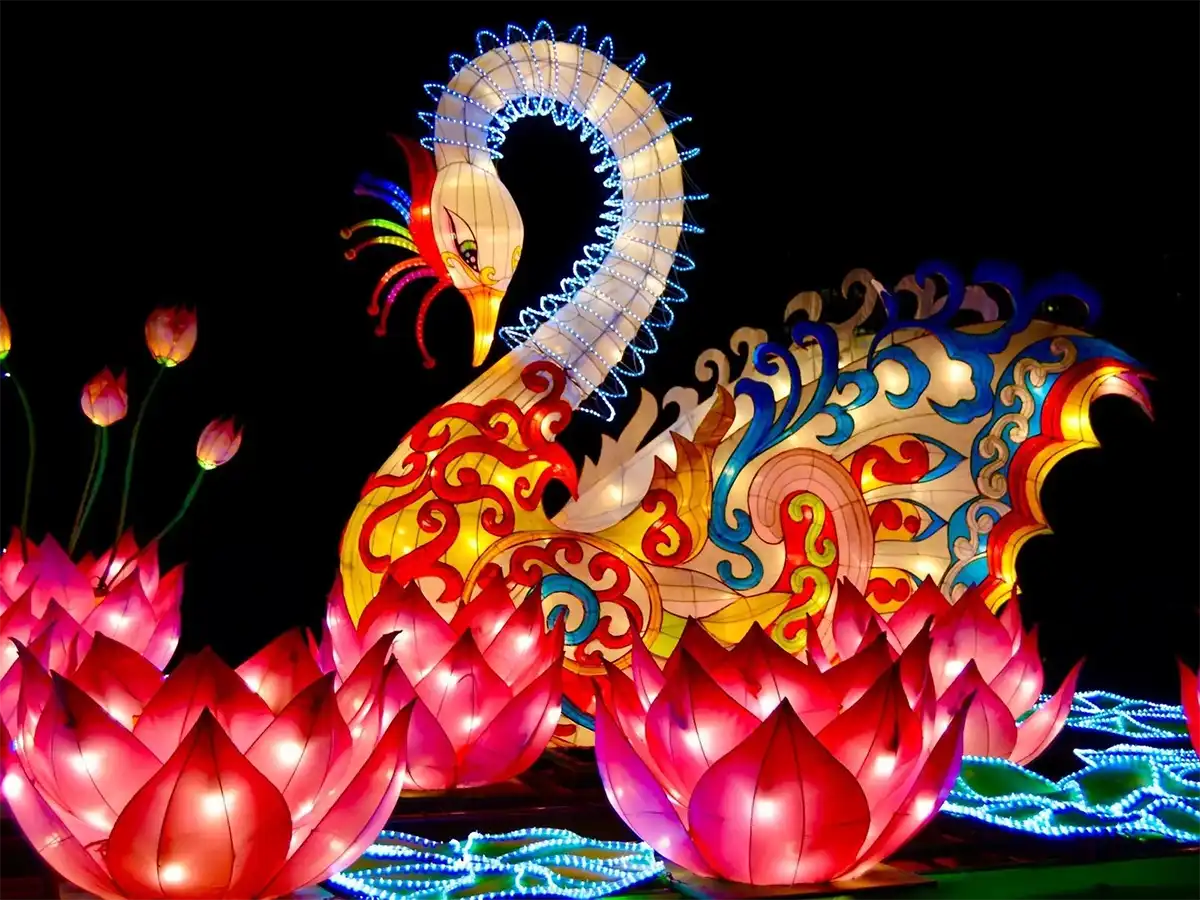Swan lantern seated among giant pink lotus blooms on a lit water surface — custom festival water lantern from Zigong