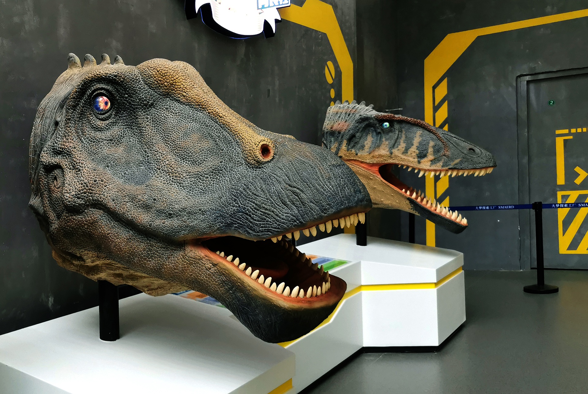 Diplodocus and Carcharodontosaurus animatronic models demonstrating multi-species silicone skin manufacturing