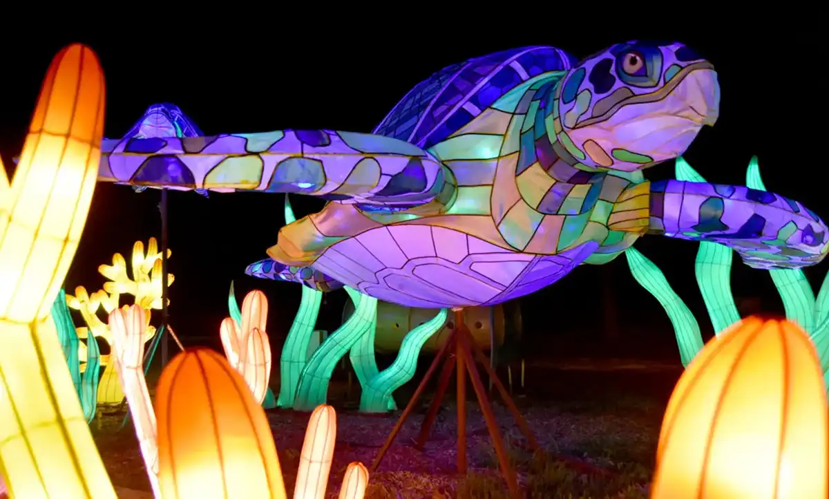 Sea turtle lantern with patterned shell