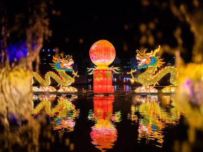 Dragon Bridge Water Lantern Installation – Spectacular Floating Arch Display