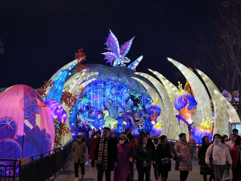 Fantasy Ocean Archway Tunnel Lantern — Elf & Jellyfish Theme