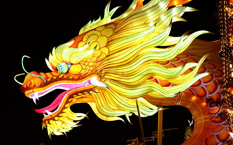 Golden Chinese Dragon Head Close-up Lantern