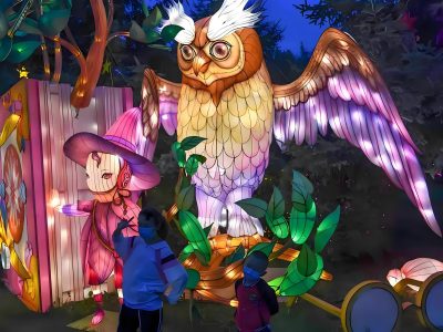Magic Forest Interactive Lantern — Owl & Wizard Theme