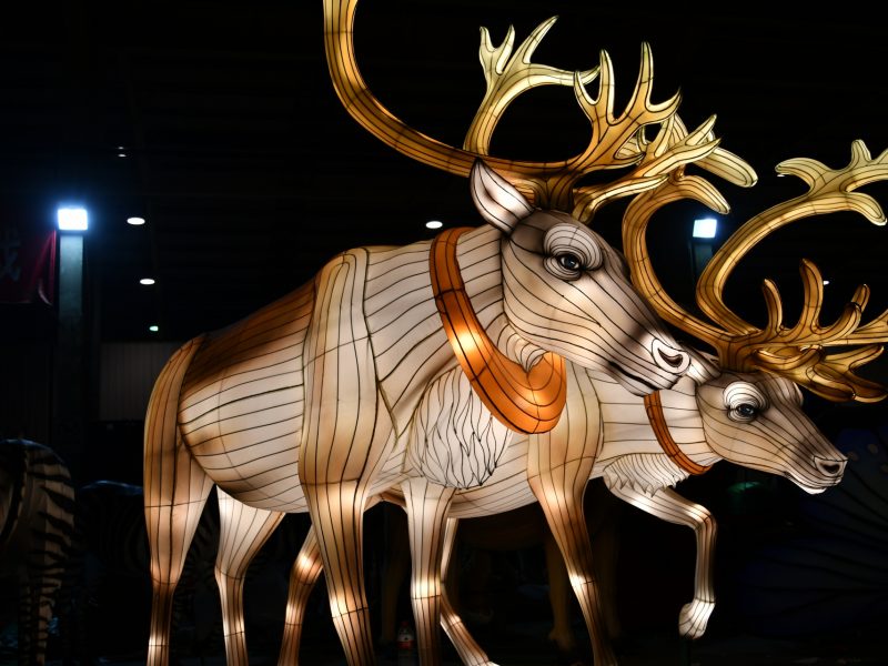 Giant Illuminated Reindeer Lantern — Majestic Moose Light Sculpture