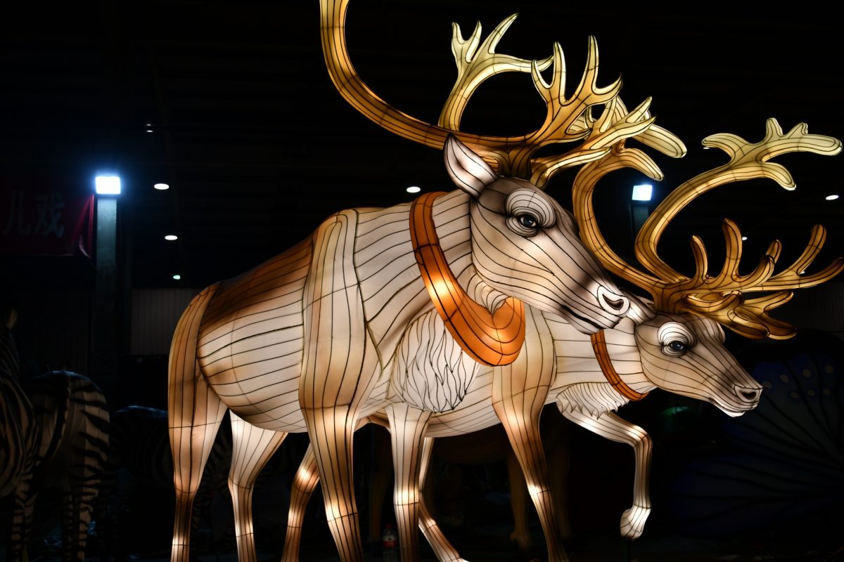 Majestic moose light sculpture in a zoo lights display
