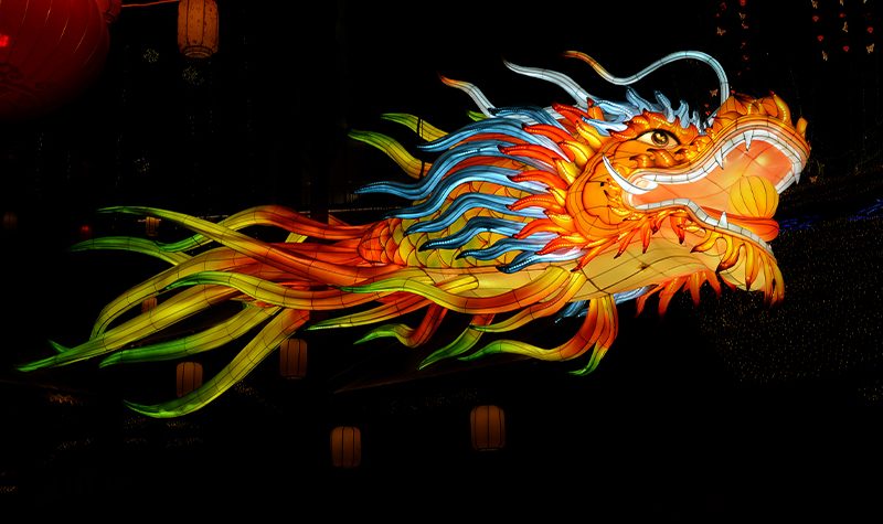 Rainbow Gradient Dragon Head Lantern | Chinese Festival Light Sculpture 