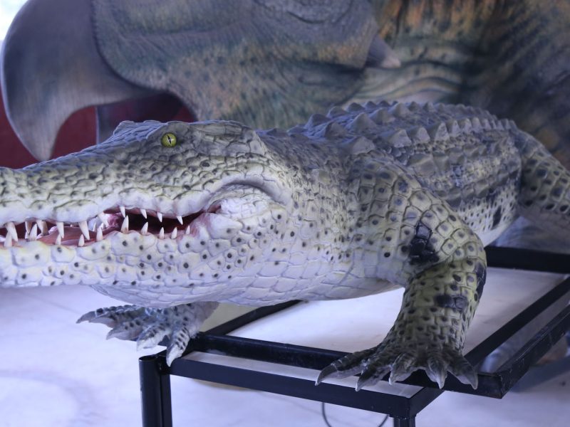 Life-Size Realistic Animatronic Crocodile Statue