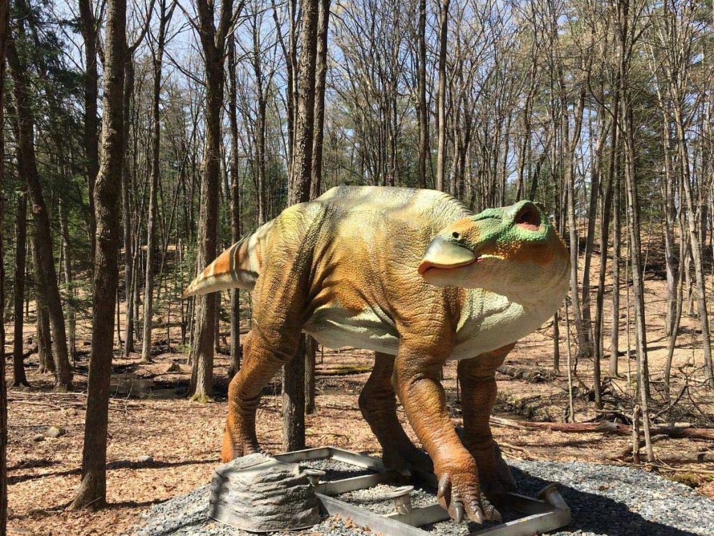 Life-size animatronic hadrosaurus with distinctive duck-billed snout and crest displayed in natural history museum setting