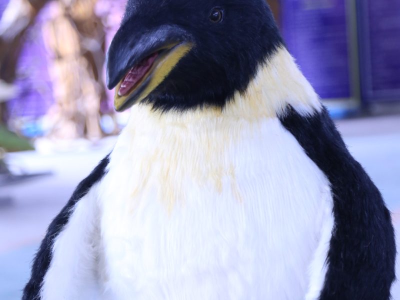 Realistic Penguin Animatronic Model with Basket