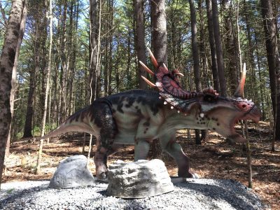 Life-Size Animatronic Styracosaurus — Realistic Horned Dinosaur for Museum & Park Displays