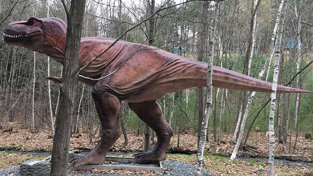 Museum-grade dinosaur skeleton replica full body upright pose outdoor display
